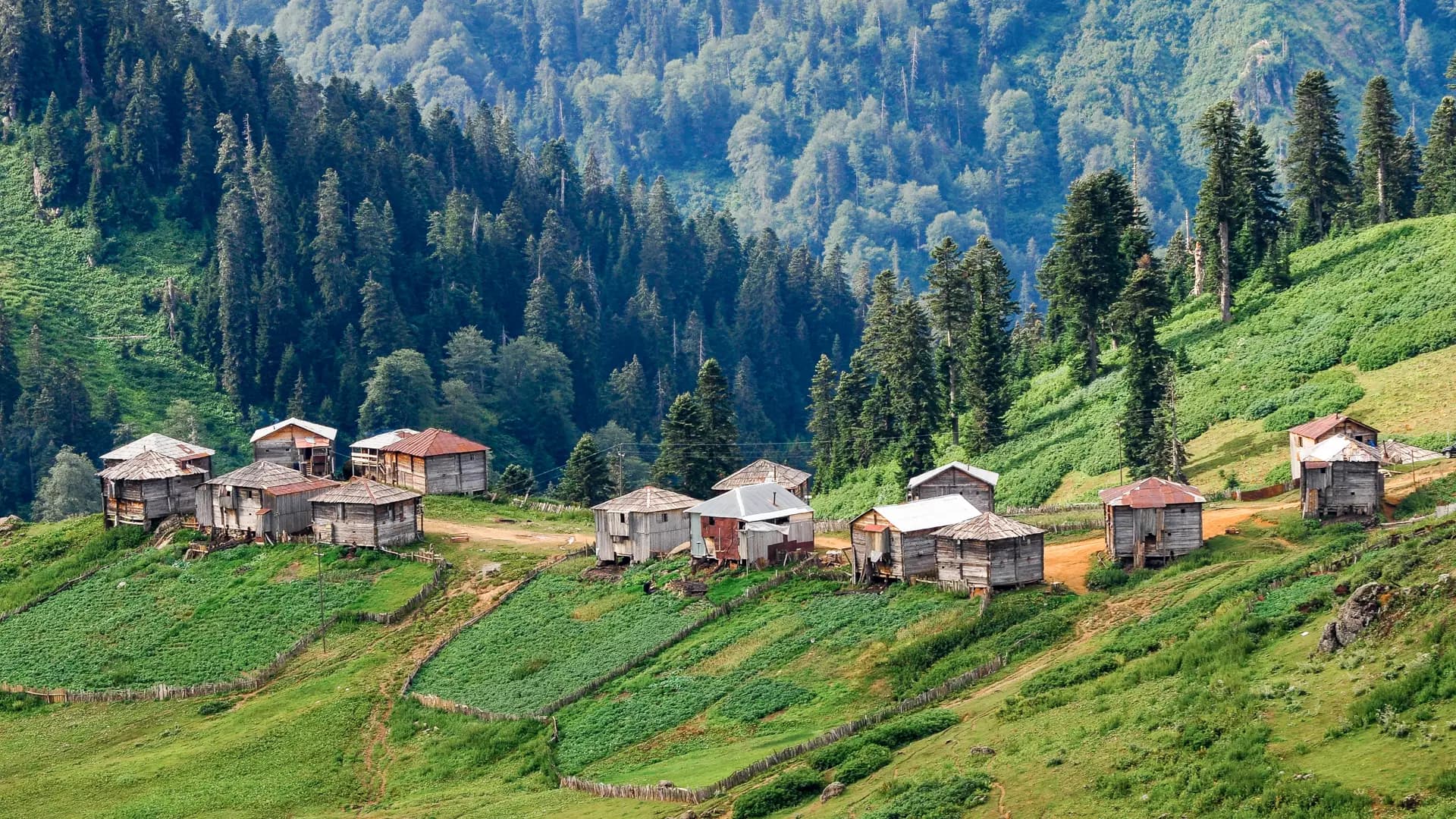 გომისმთა